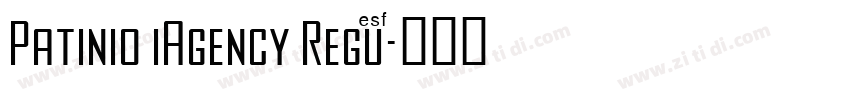 Patinio iAgency Regu字体转换